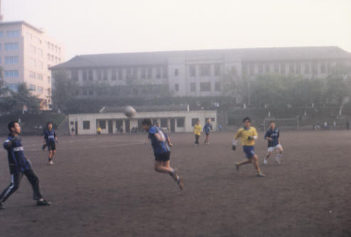 14.jpg (17727 �ֽ�)