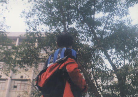 19.jpg (35202 �ֽ�)