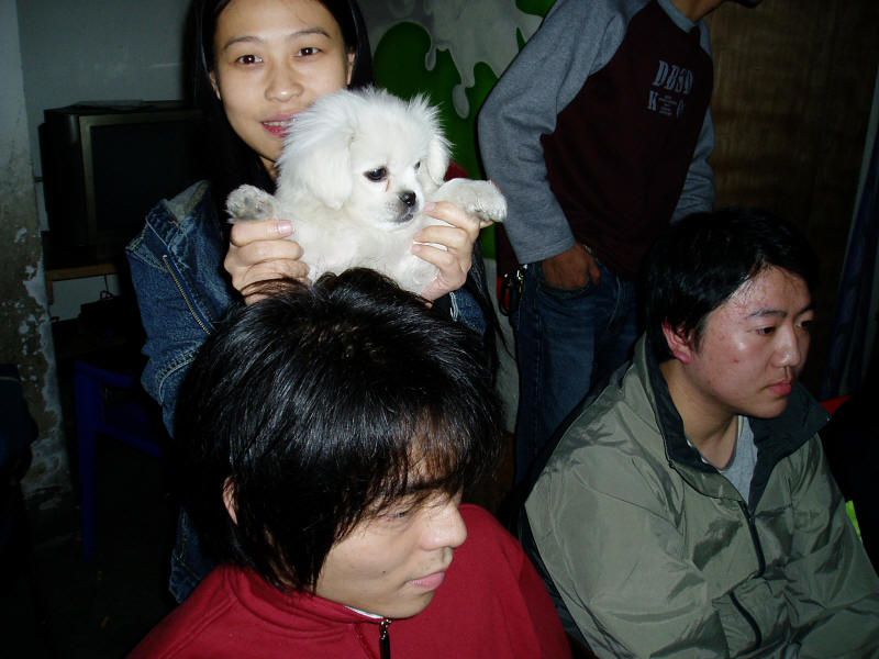 ��Ů��Ұ�ް桶̩̹��˺š���������